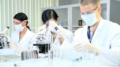 Laboratory Assistants Working on Research Data