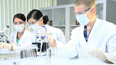 Junior Doctors Studying in Hospital Laboratory