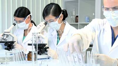 Research Assistants in Medical Laboratory
