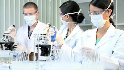 Medical Researchers Working in Hospital Laboratory
