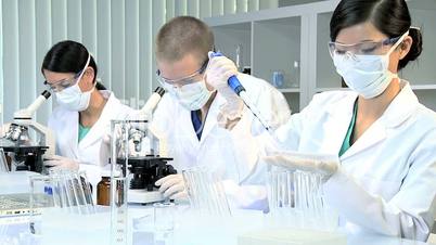 Laboratory Assistants Working on Research Data