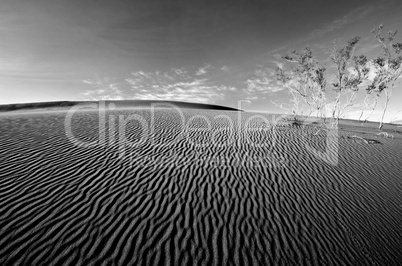 Death Valley Sand Dune