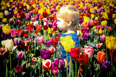 Boy and Tulips