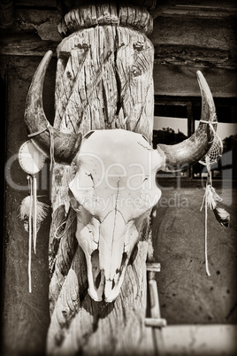 Cow skull