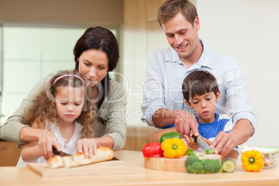 Family slicing ingredients
