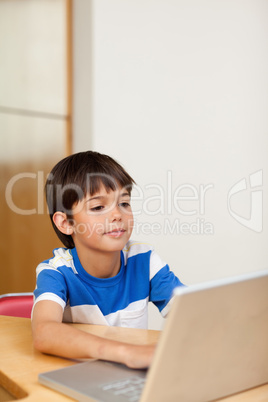 Boy playing computer games on the laptop