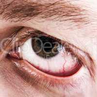 Blood capillary human eye