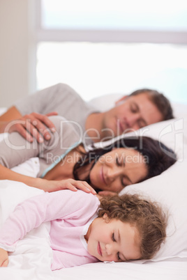 Family sleeping on the bed