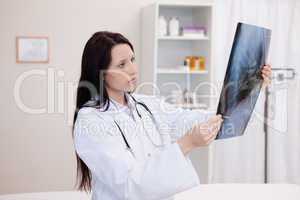 Doctor looking at a set of X-ray