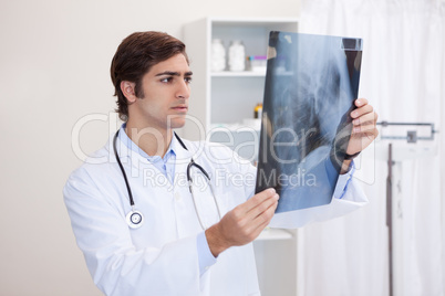 Male doctor looking at x-ray