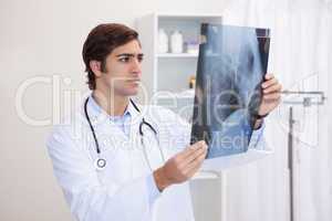 Male doctor looking at x-ray