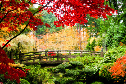 Bridge in a Garden