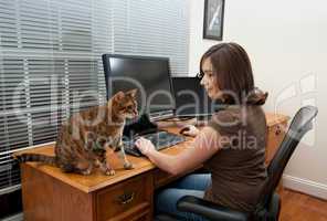 Woman and cats at computer desk