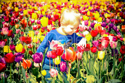 Boy and Tulips