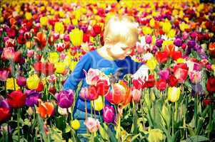Boy and Tulips