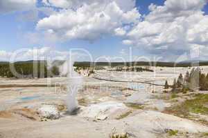 Norris Geyser Basin