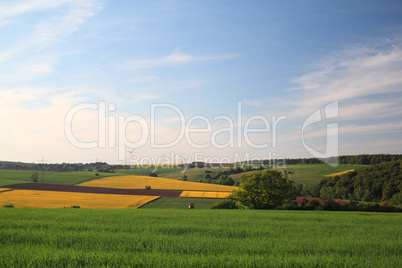 frühlingslandschaft