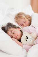 Portrait of siblings sleeping
