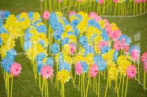 Children pinwheels on grass