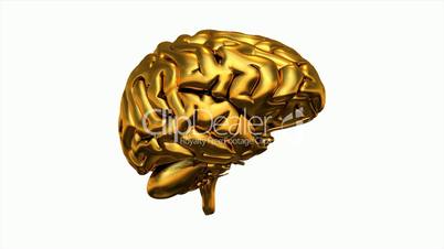 3D Gold Brain 360° Video auf weiß