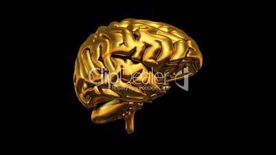 3D Gold Brain 360° Video auf Schwarz