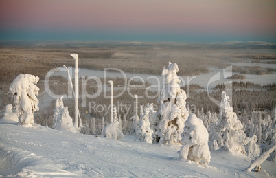 frozen landscape