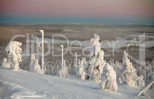 frozen landscape