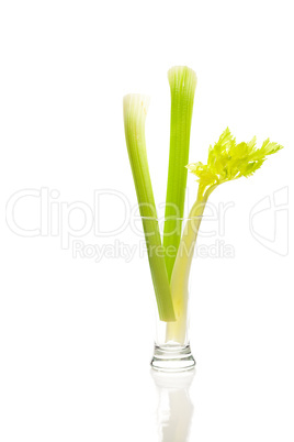 celery in a tall glass isolated on white