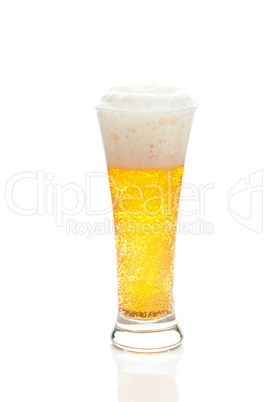 light beer with the foam in a tall glass isolated on white