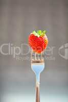 strawberry on a fork in the daylight