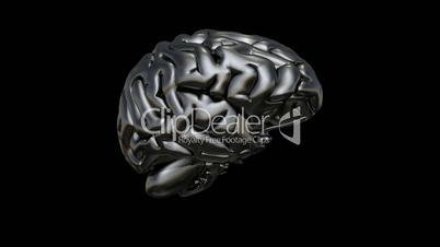 3D Silver Brain 360° Video auf Schwarz
