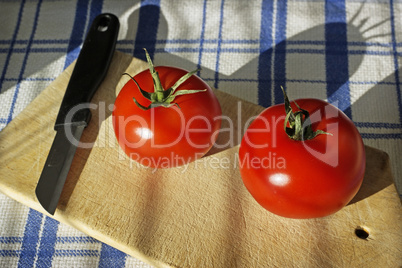 frische Tomaten II