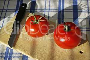 frische Tomaten II