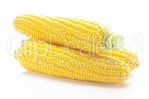 ripe yellow corn isolated on white