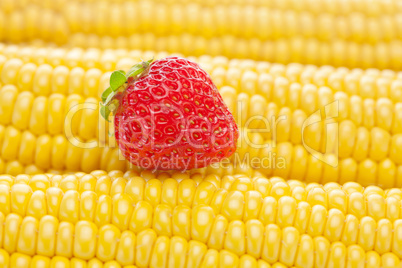background of ripe yellow corn and strawberry
