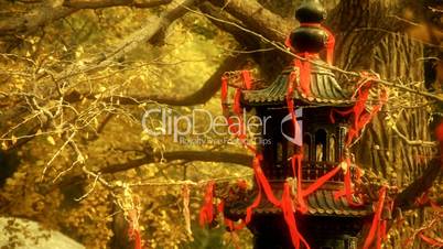 Incense burner and ginkgo tree in wind,monuments,antiques,culture.