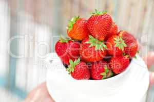 strawberries in a bowl in the daylight