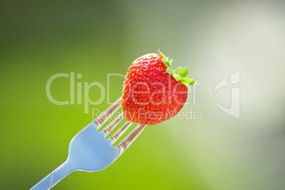 strawberry on a fork in the daylight