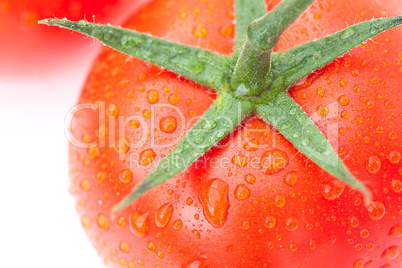 background of the tomato with water drops