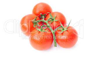 tomato with water drops isolated on white