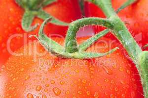 background of the tomato with water drops