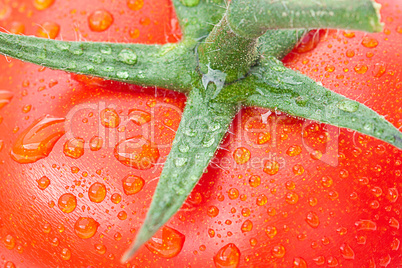 background of the tomato with water drops