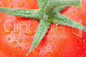 background of the tomato with water drops