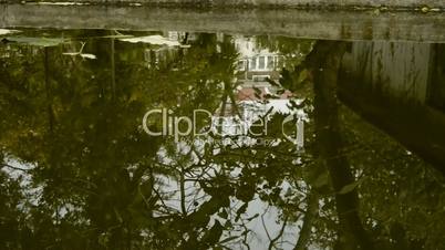 Leaves floating on the water,Trees and house reflected in pool,rippled,like a mirror.