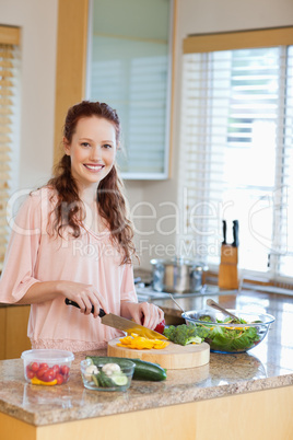 Woman slicing vegetables