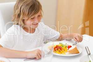 Boy eating dinner