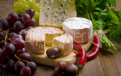 different cheese kinds