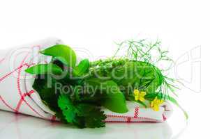 Some herb on white background with a area for you text
