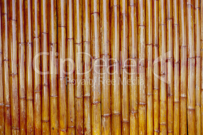 old bamboo background