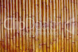old bamboo background